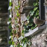 „Ich wusste, dass etwas kommen würde“: Vogel kündigte riesigen Gewinn an