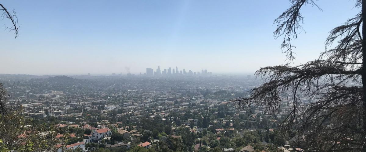 2-Milliarden-Dollar-Powerball-Gewinner Edwin Castro kauft von Bränden zerstörte Grundstücke in L.A.